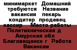 минимаркет “Домашний“ требуются › Название вакансии ­ пекарь, кондитер, продавец-кассир. › Место работы ­ Полетихническая д. 1 - Амурская обл., Благовещенск г. Работа » Вакансии   